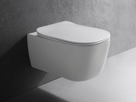 რა უნდა გაითვალისწინოთ სანტექნიკის შერჩევისას ბინის ყიდვისას: რჩევები და ტრენდები