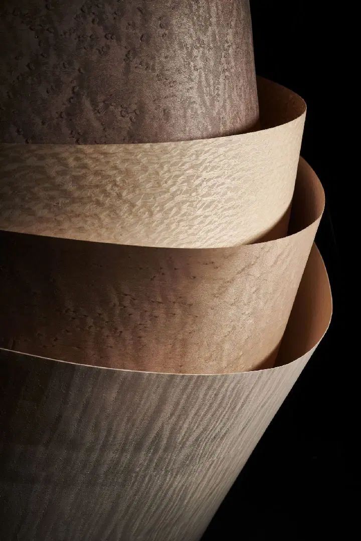 შპონი ინტერიერში: ელეგანტურობა ხელმისაწვდომ ფასად